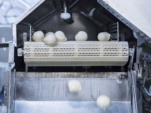 Mozzarelle nella produzione sostenibile di Emmi sul nastro trasportatore