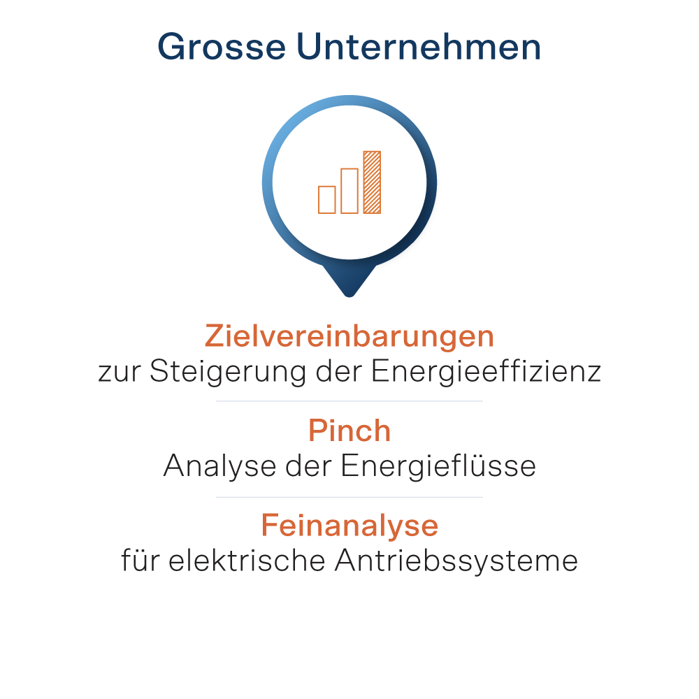 Beratungen für grosse Unternehmen: Zielvereinbarungen, Pinch und Feinanalyse
