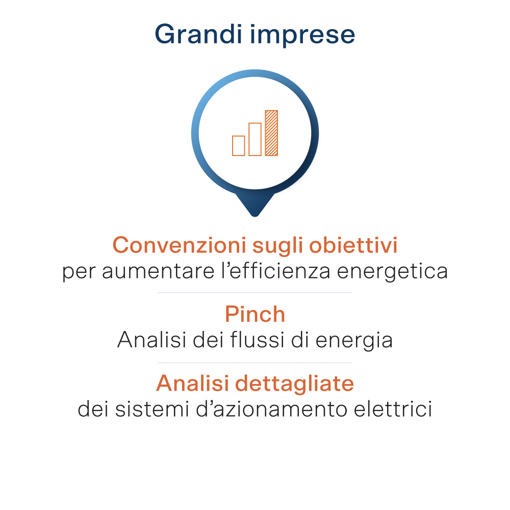 Consulenza per grandi aziende: Convenzioni sugli obiettivi, Pinch e analisi dettagliate