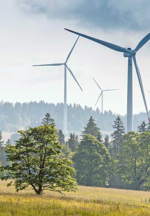 L’éolien a-t-il de l’avenir en Suisse ?