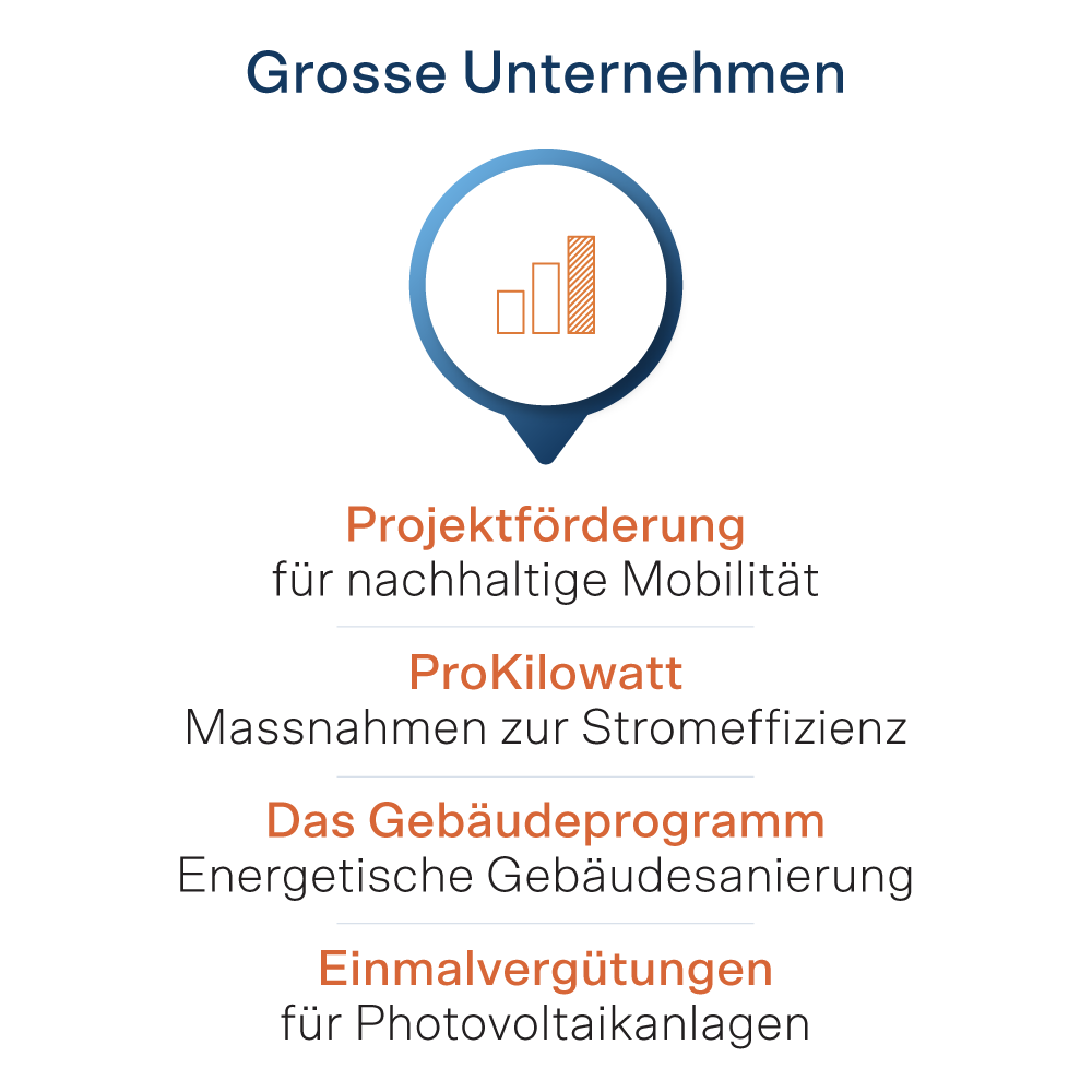 Förderungen für grosse Unternehmen