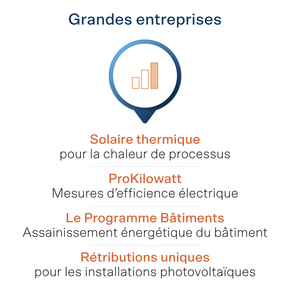 Subventions pour les grandes entreprises