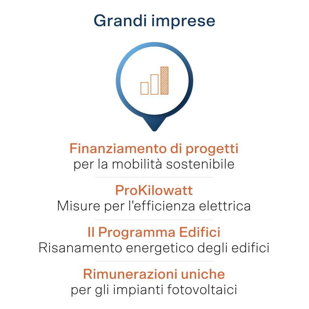 Sussidi per le grandi imprese
