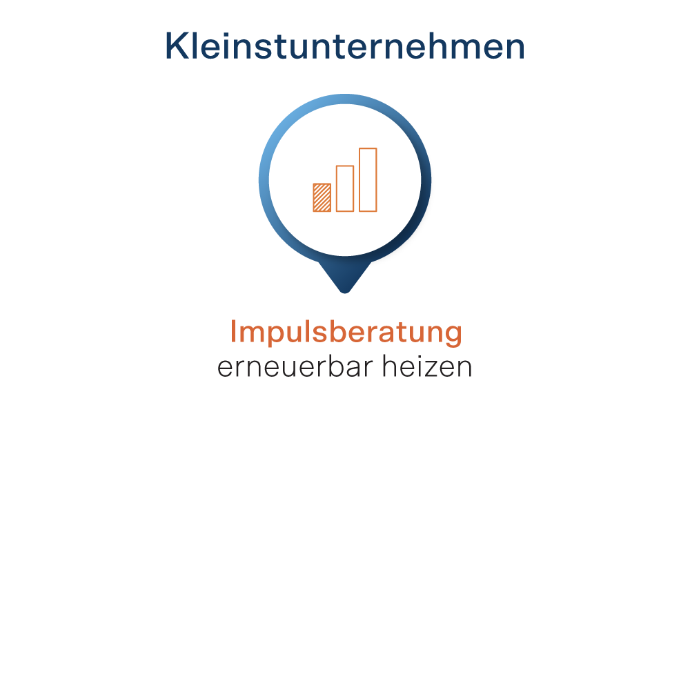 Beratungen für Kleinstunternehmen: Impulsberatung