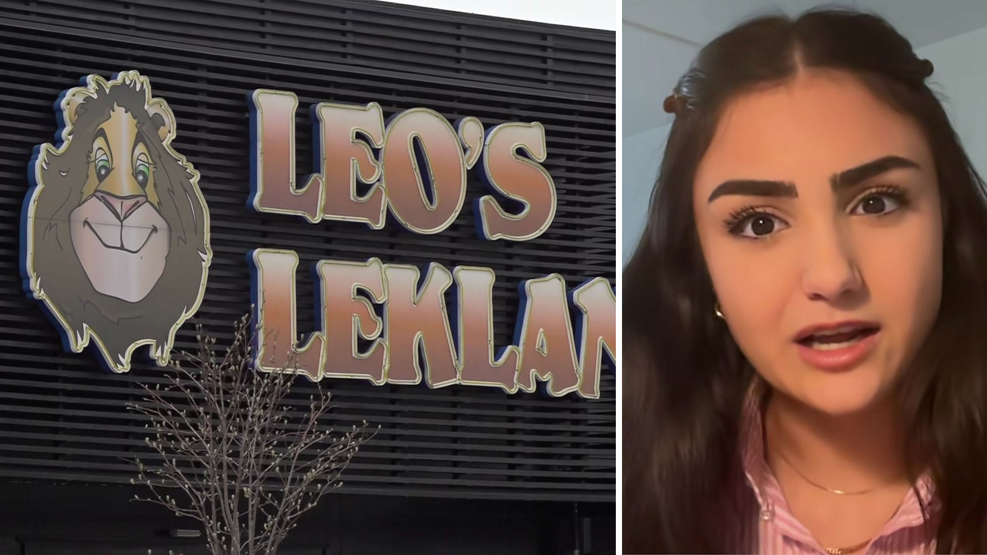 Skalbaggar i köket och trasiga lekredskap: ”Går dit på egen risk”