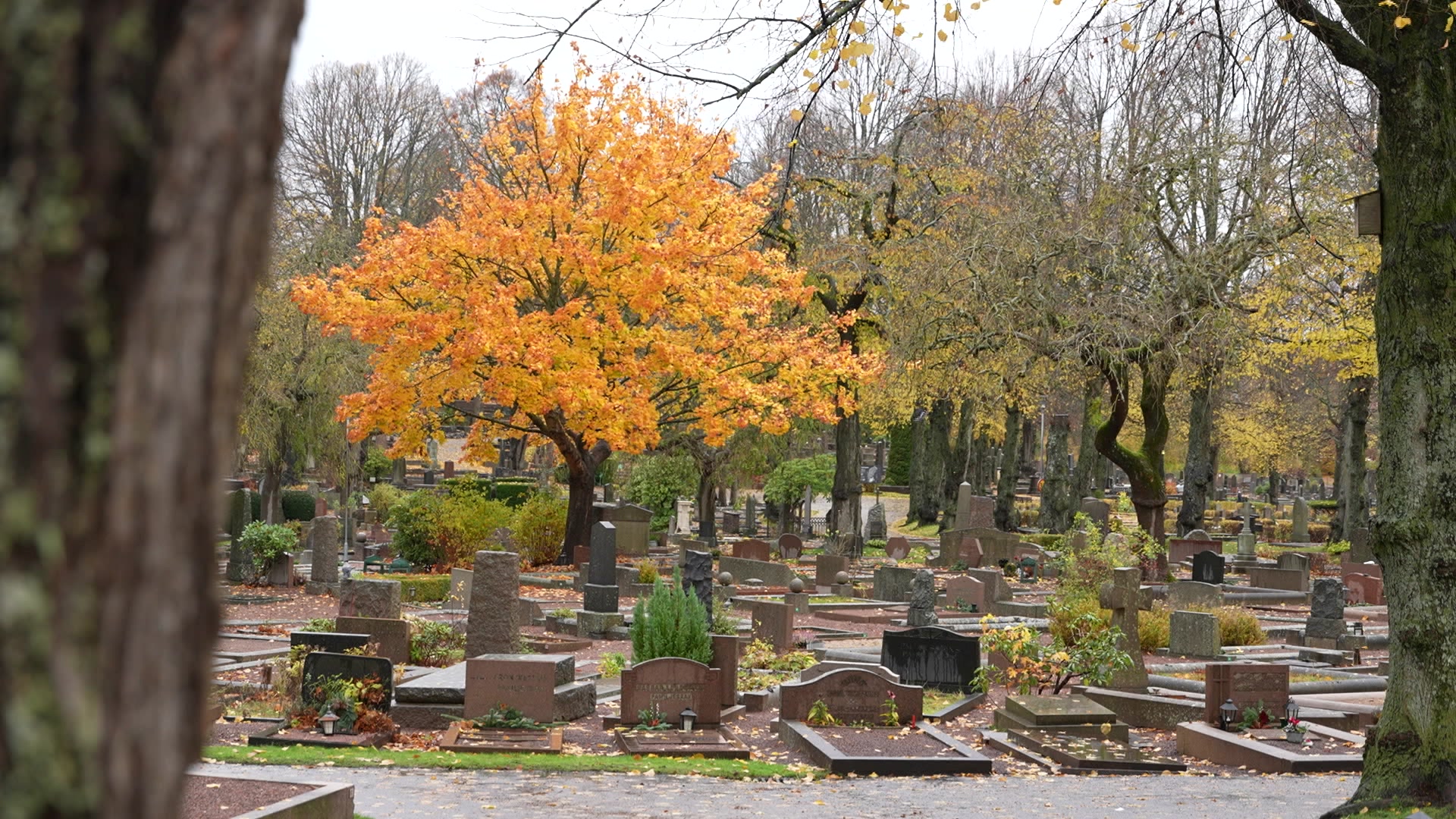 Fyra av tio vill att deras sociala medier ska raderas efter döden