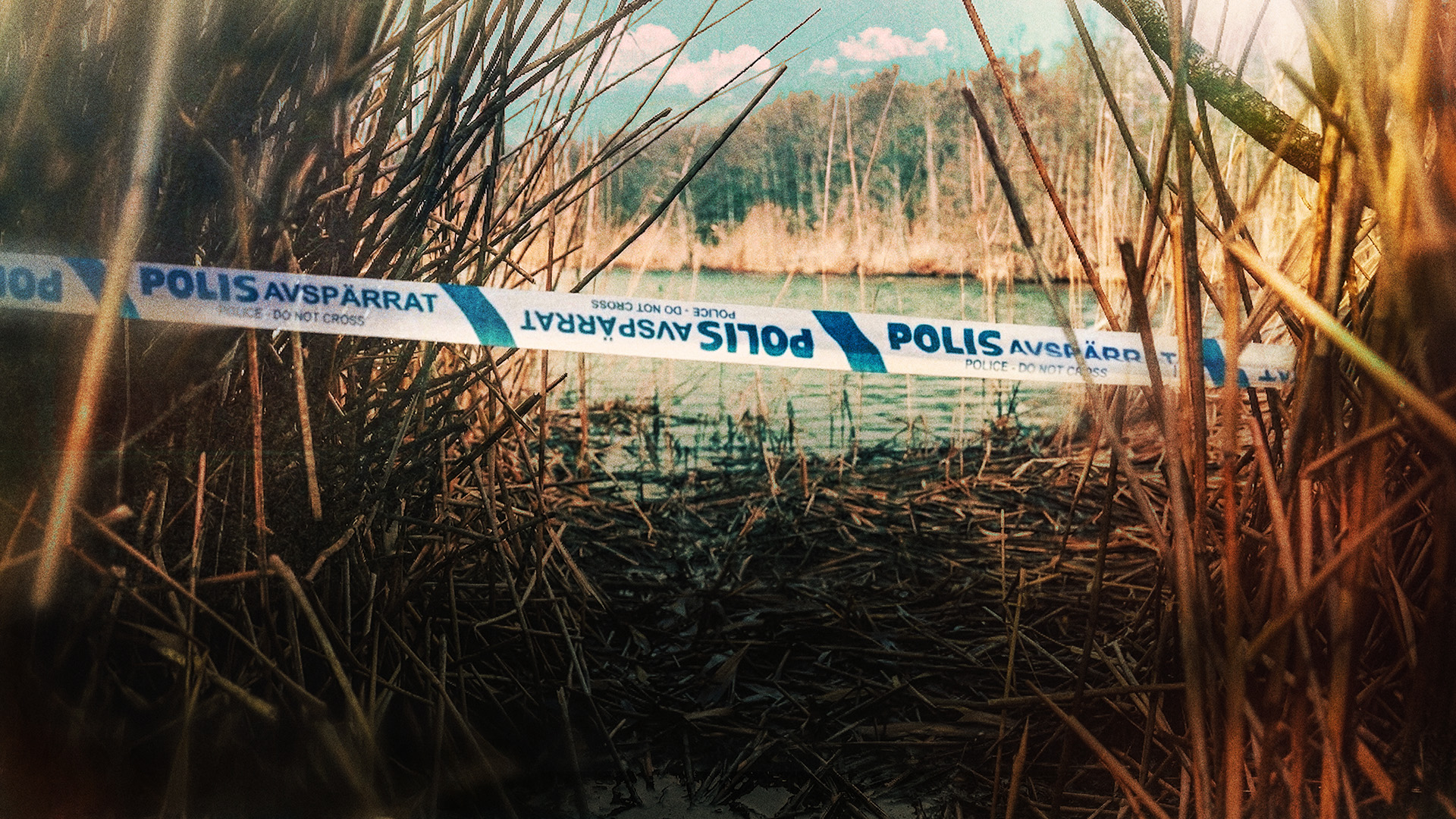 Misstanken: Därför styckmördade sonen sin mamma i Danderyd