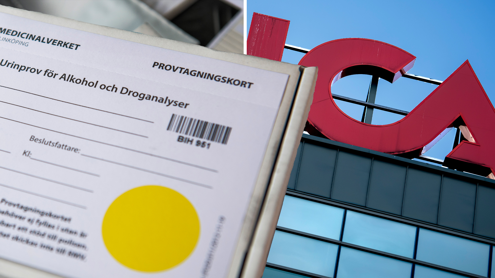 Foto: Förhandsbild från källan: TV4 Nyheter