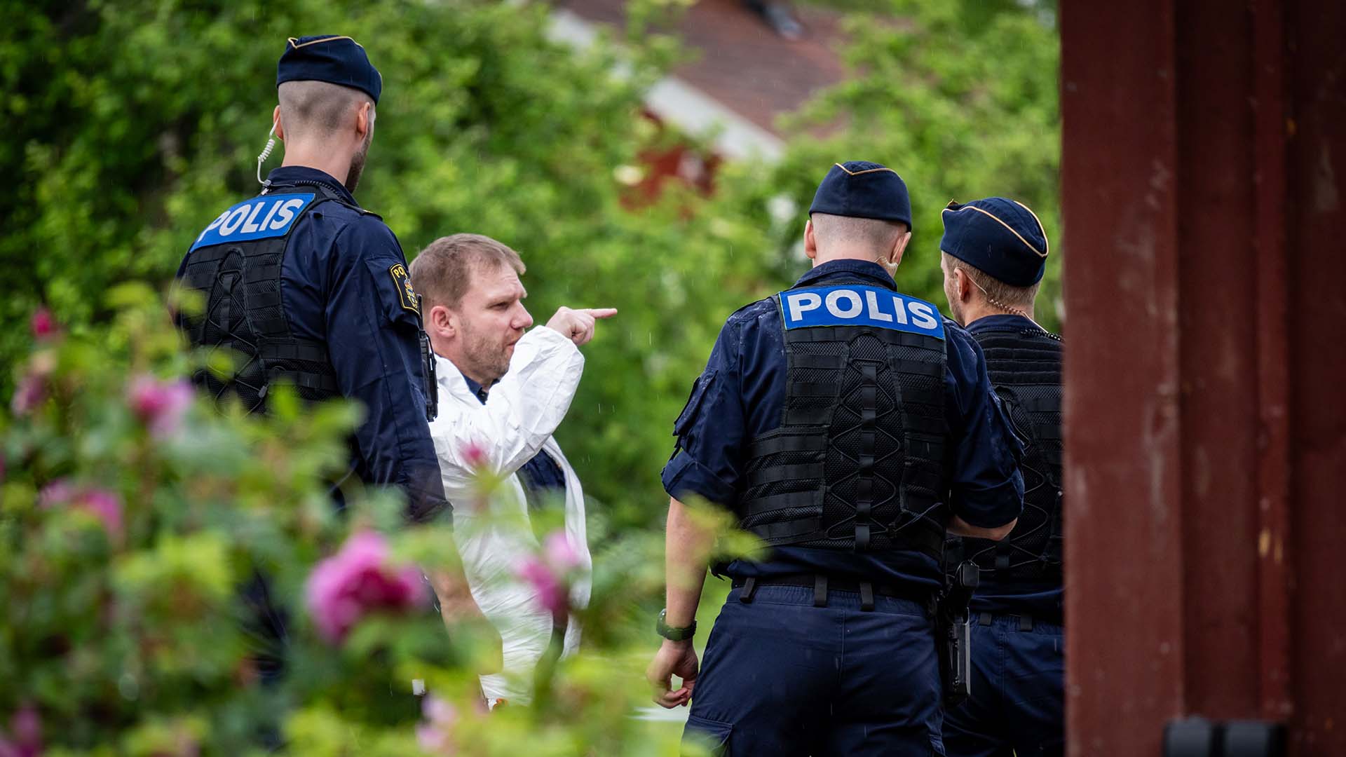 Foto: Förhandsbild från källan.