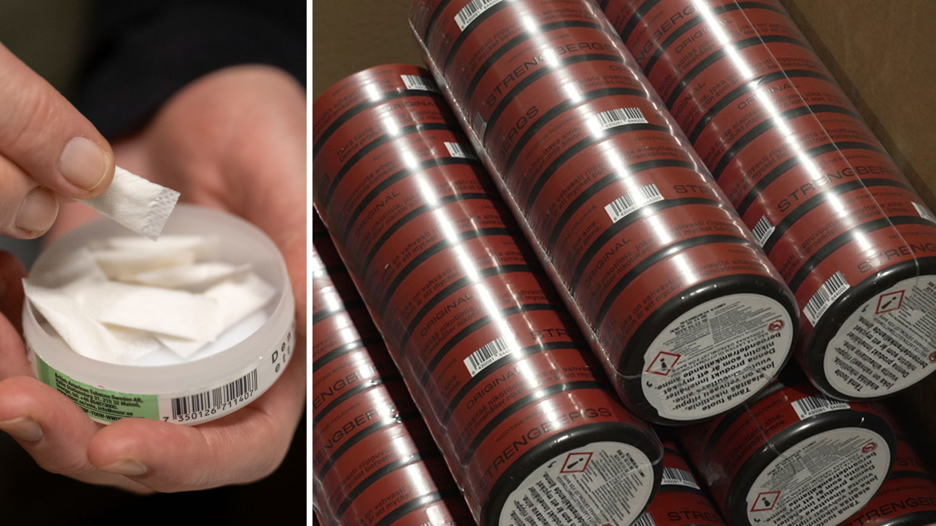 Snus Råtta Politisk härva om vitt snus i Finland