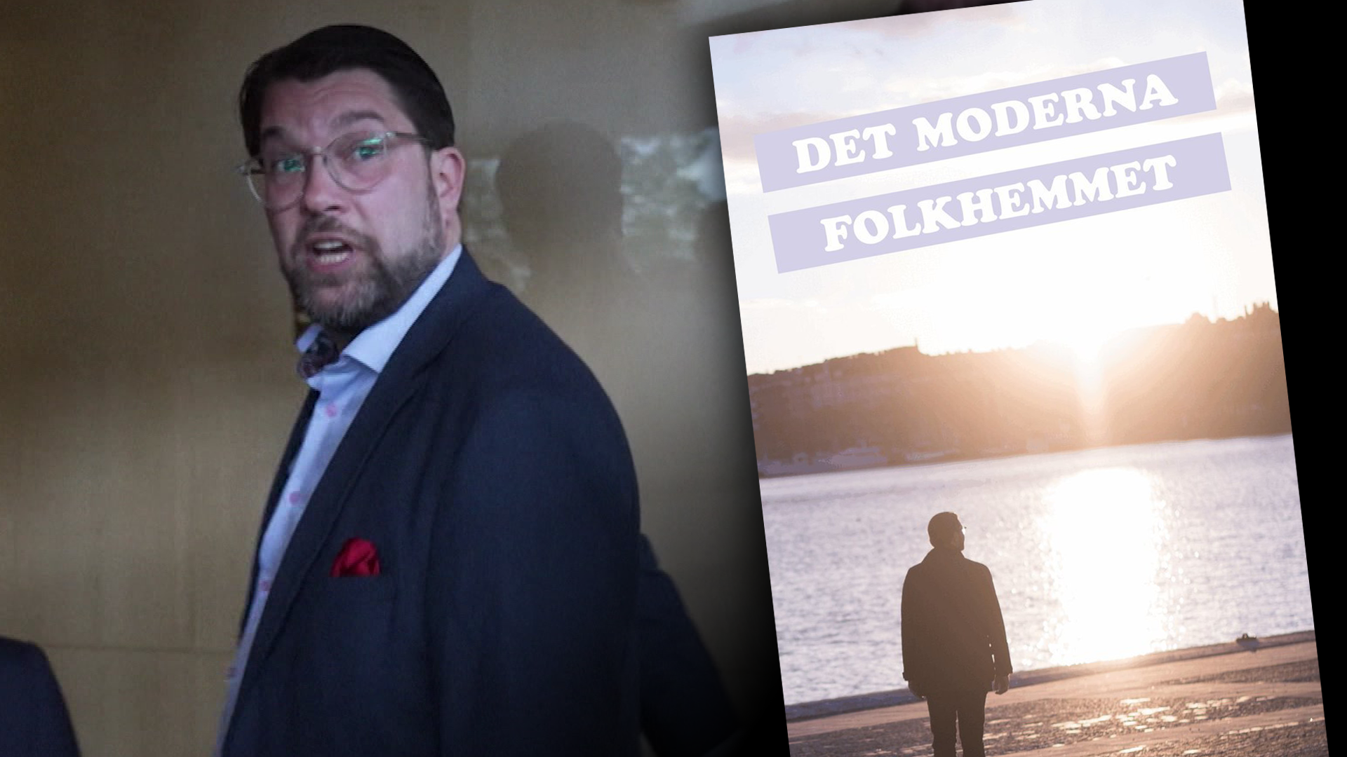 Åkesson gjorde privat miljonaffär – med sitt eget parti