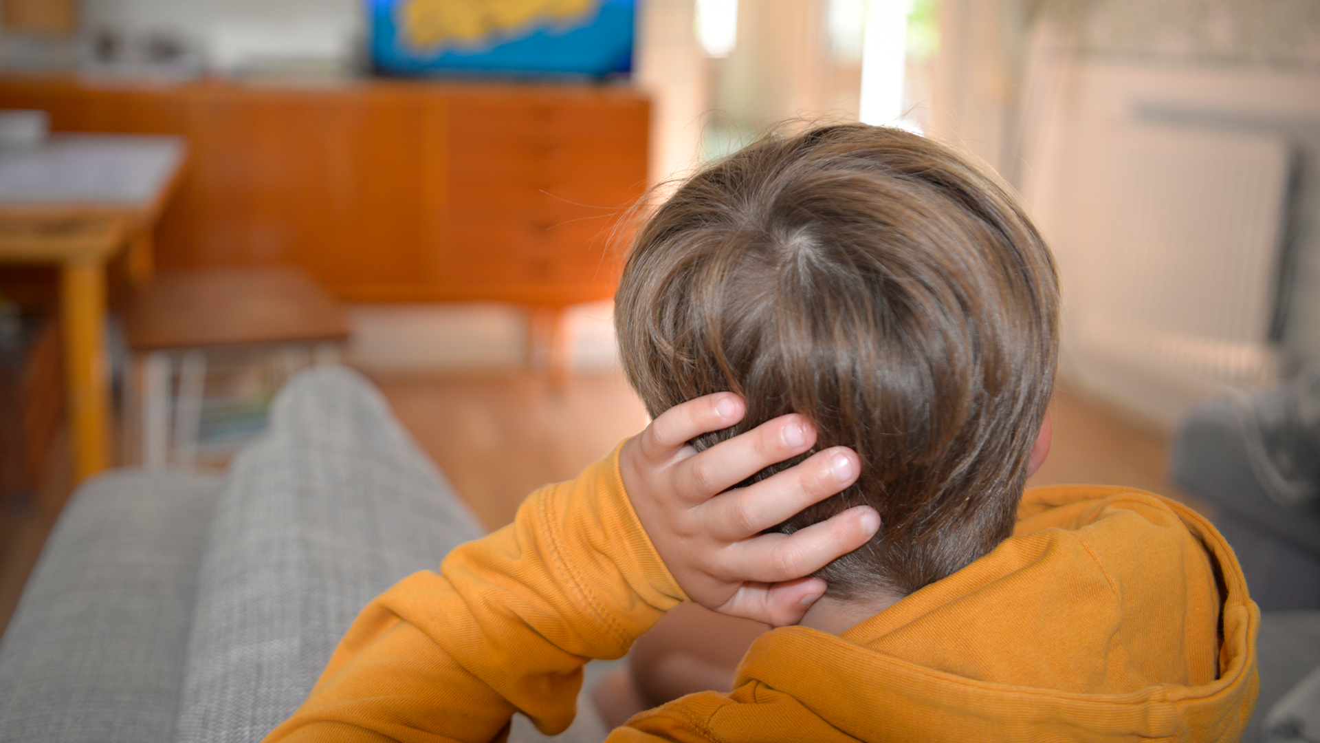 Foto: Förhandsbild från källan: TV4 Nyheter