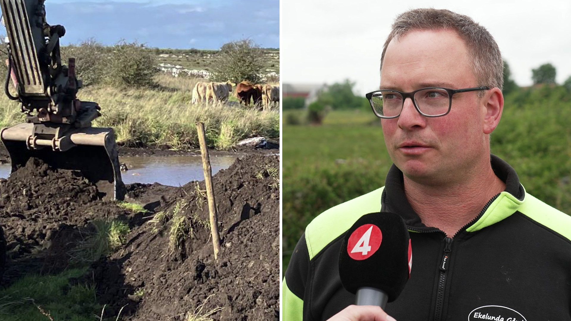Så här kan bönder på Öland bekämpa vattenbrist när våtmarker återställs