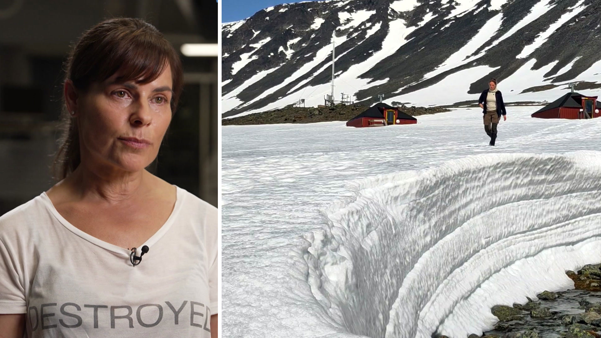 Farliga ämnen som leder till ökande trakasserier av forskare – Så skyddar du dig!
