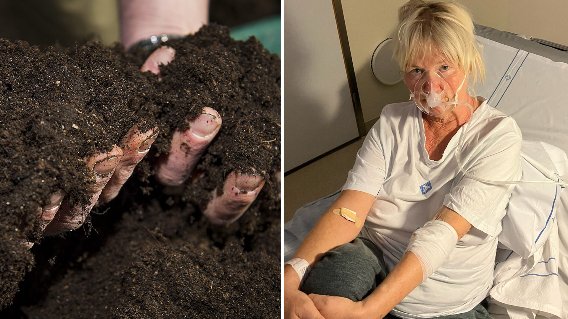 Så här skyddar du dig mot Legionella från blomjord – Ankis kamp mot sjukdomen