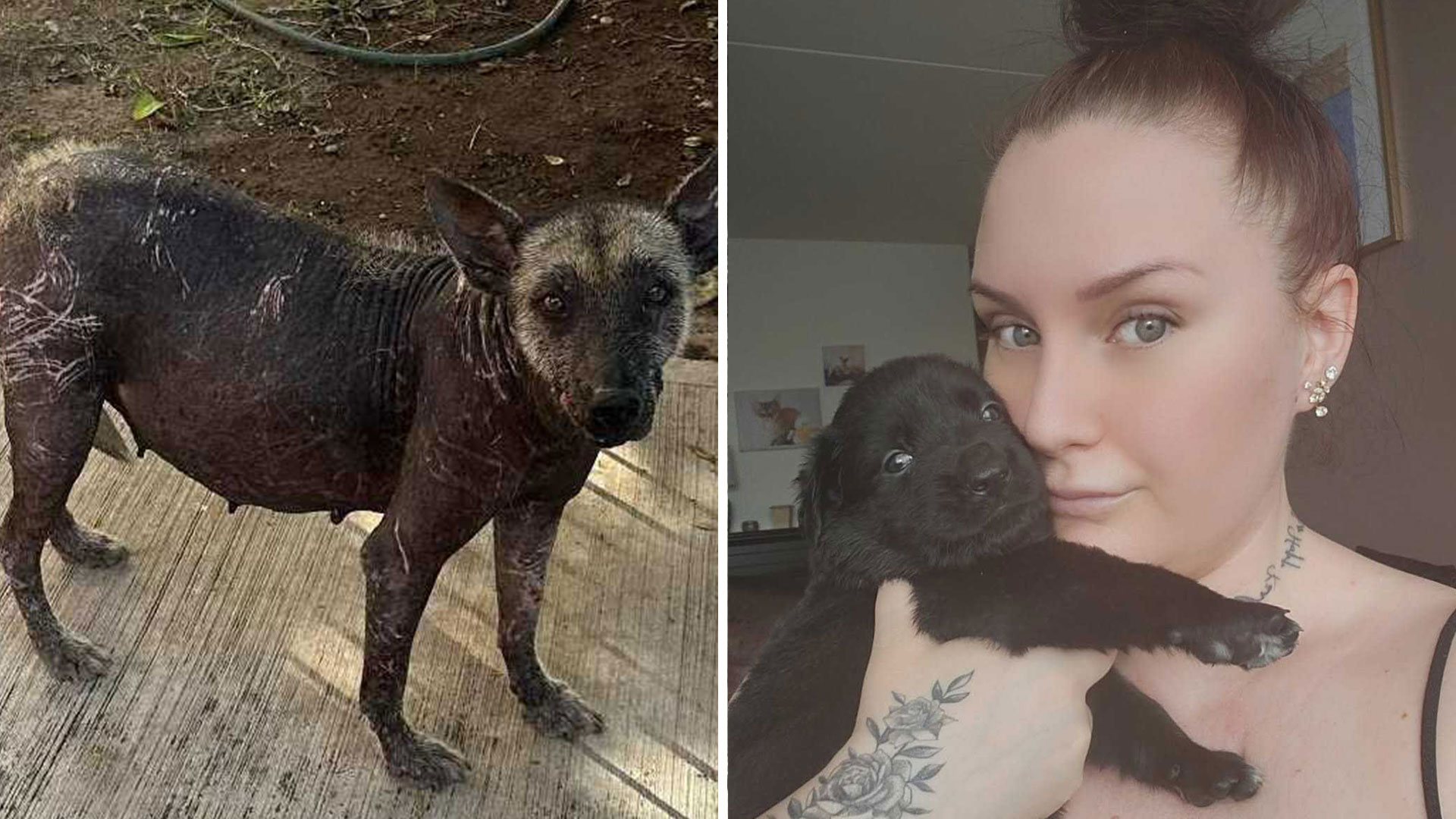 I morgon avlivas Maiga – efter dokumentmiss: ”Vi är i panik”