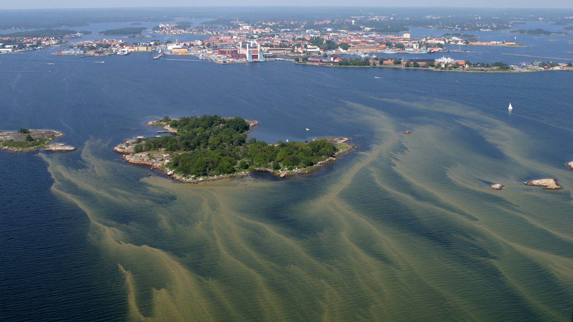 Så här skyddar du din strand mot algblomning i Östersjön: Topp 5 effektiva metoder!