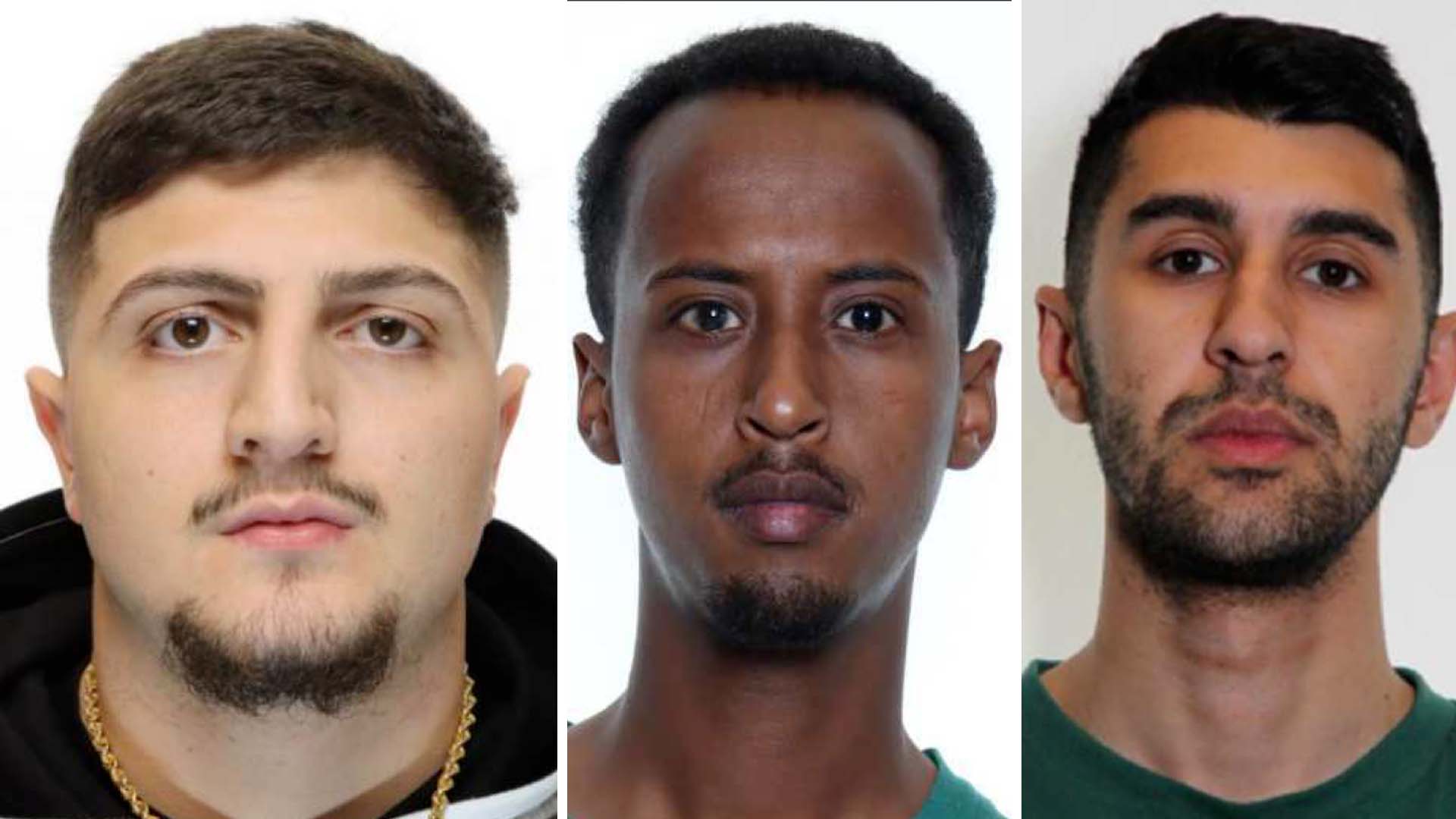 Foto: Förhandsbild från källan: TV4 Nyheter
