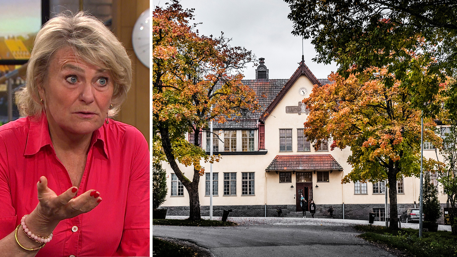 Tidigare SVT-topp sågar dokumentären: ”Ett fullständigt haveri”