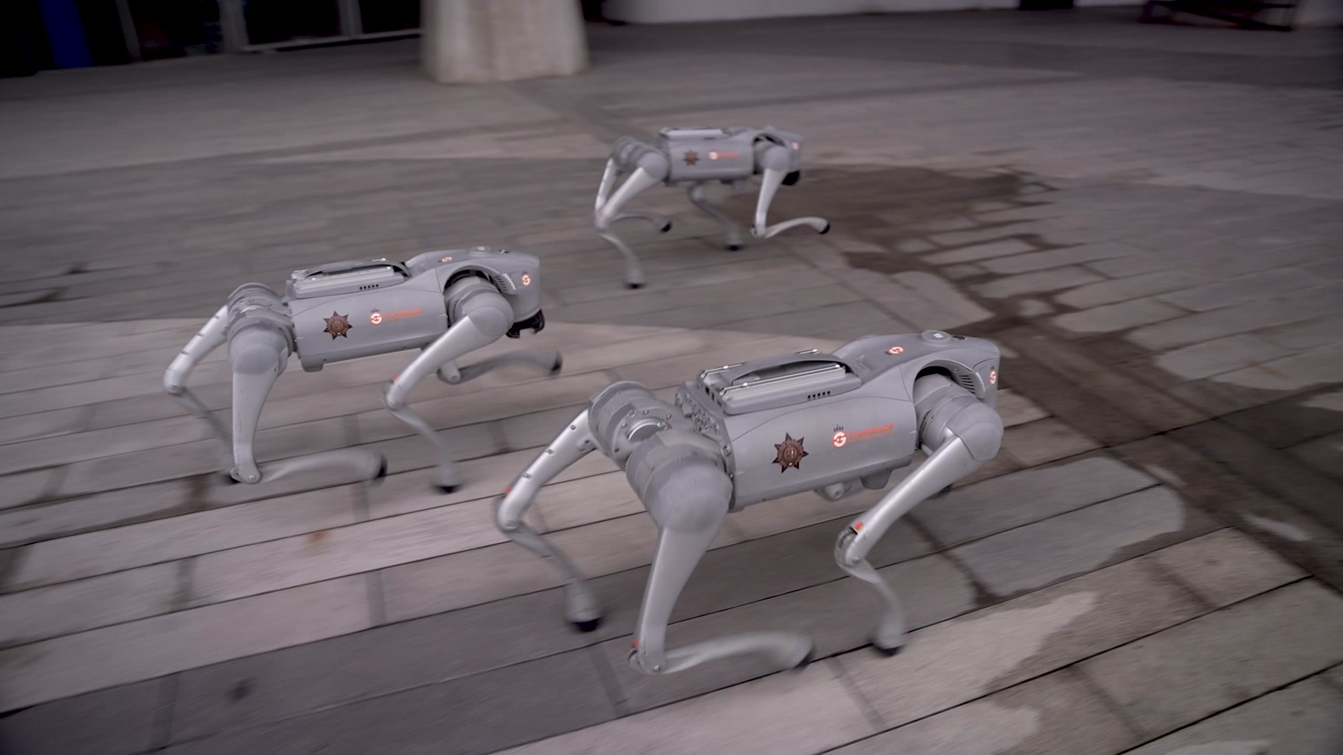 Så ska robothundar hjälpa mexikansk polis under VM