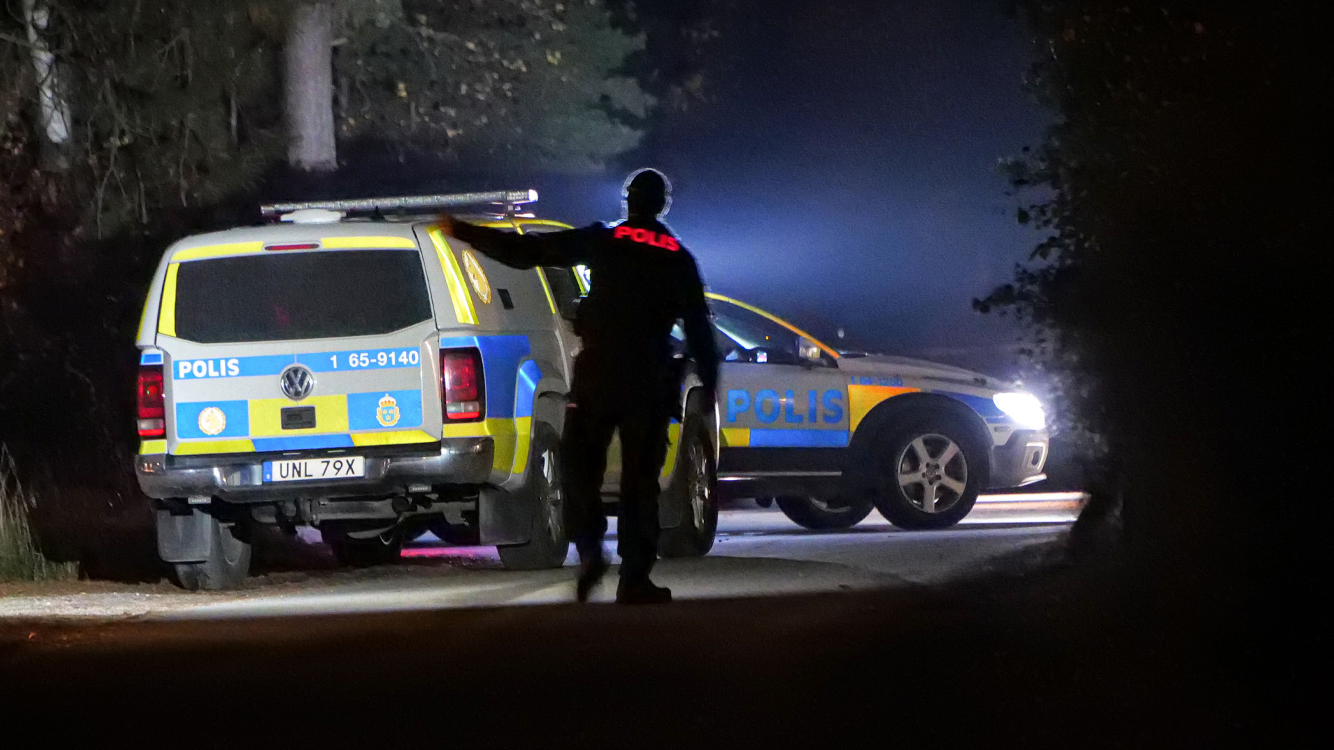 Äldre kvinna utsatt för misstänkt våldtäktsförsök i villaområde