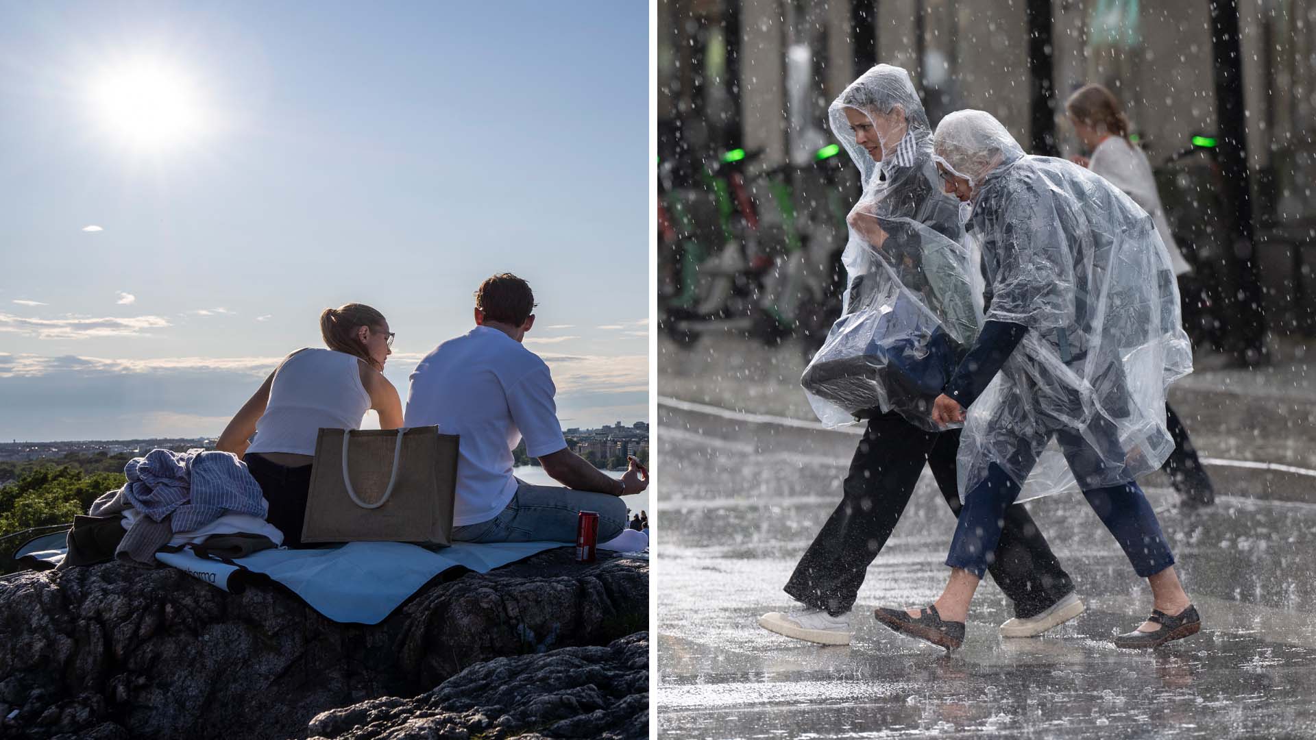 Klimatförändringar: Topp 5 sätt de förändrar svenskarnas samtal om vädret