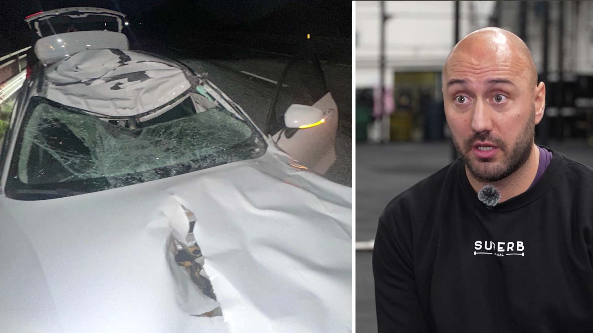 Vladan krockade med älg – kan inte sova: ”Den värsta känslan”