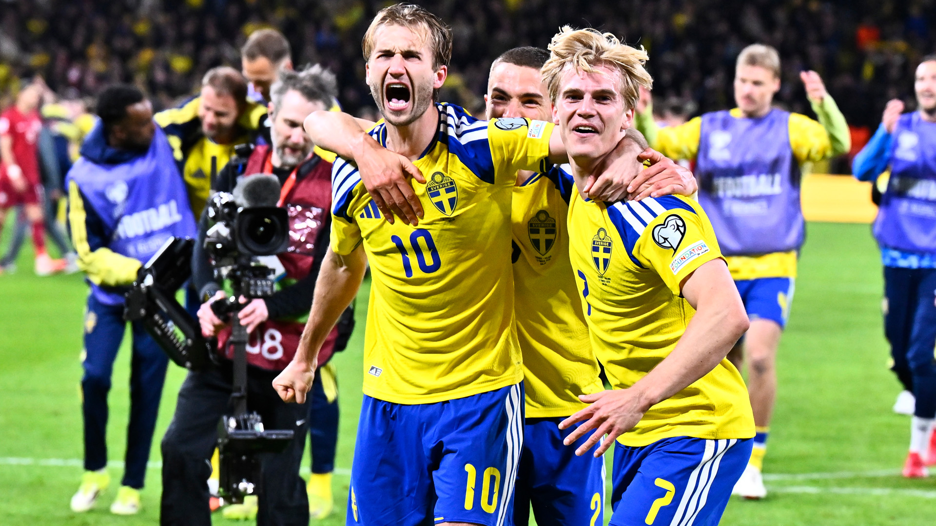 Ingen som såg Sverige ta sig till VM kommer att glömma det