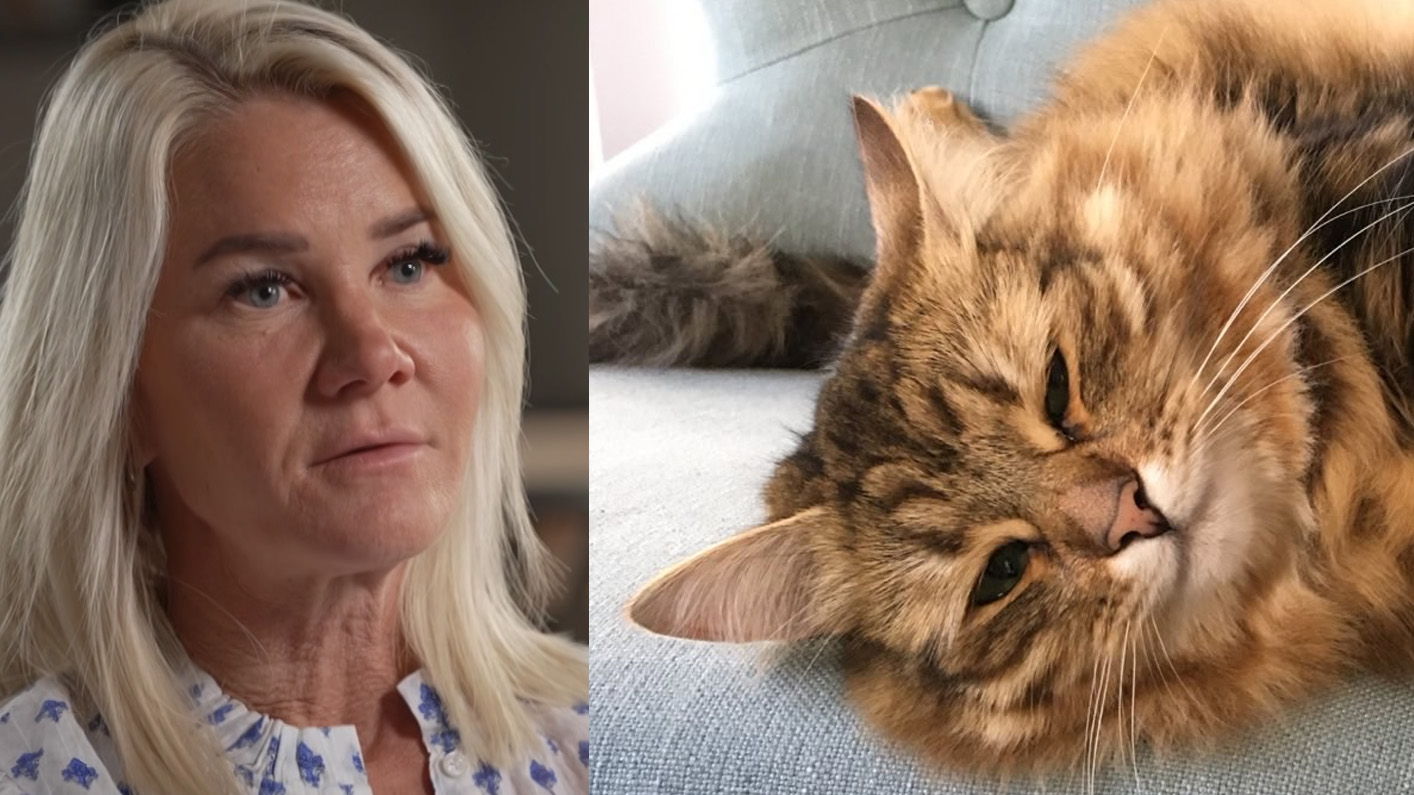 Indiana Joanning qaytishi porno filmi