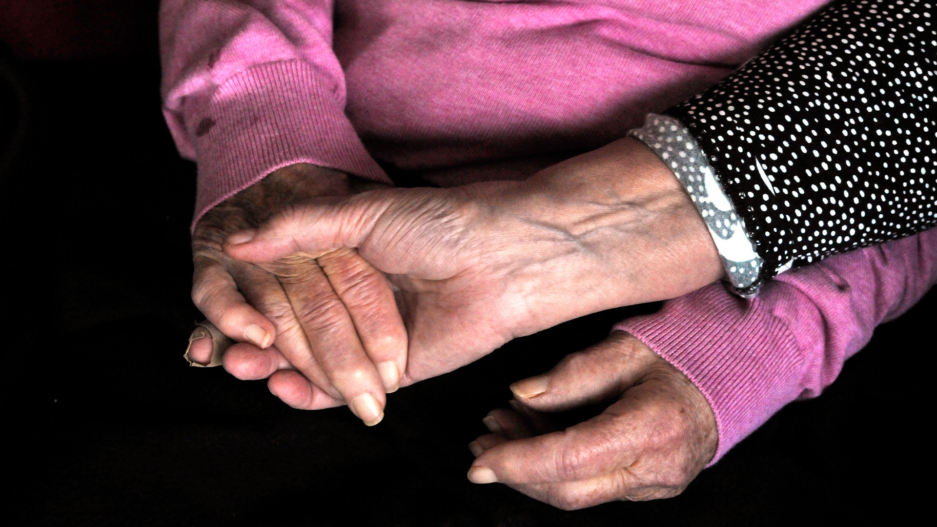 KD muốn người cao tuổi có thể lựa chọn giới tính của nhân viên chăm sóc tại nhà