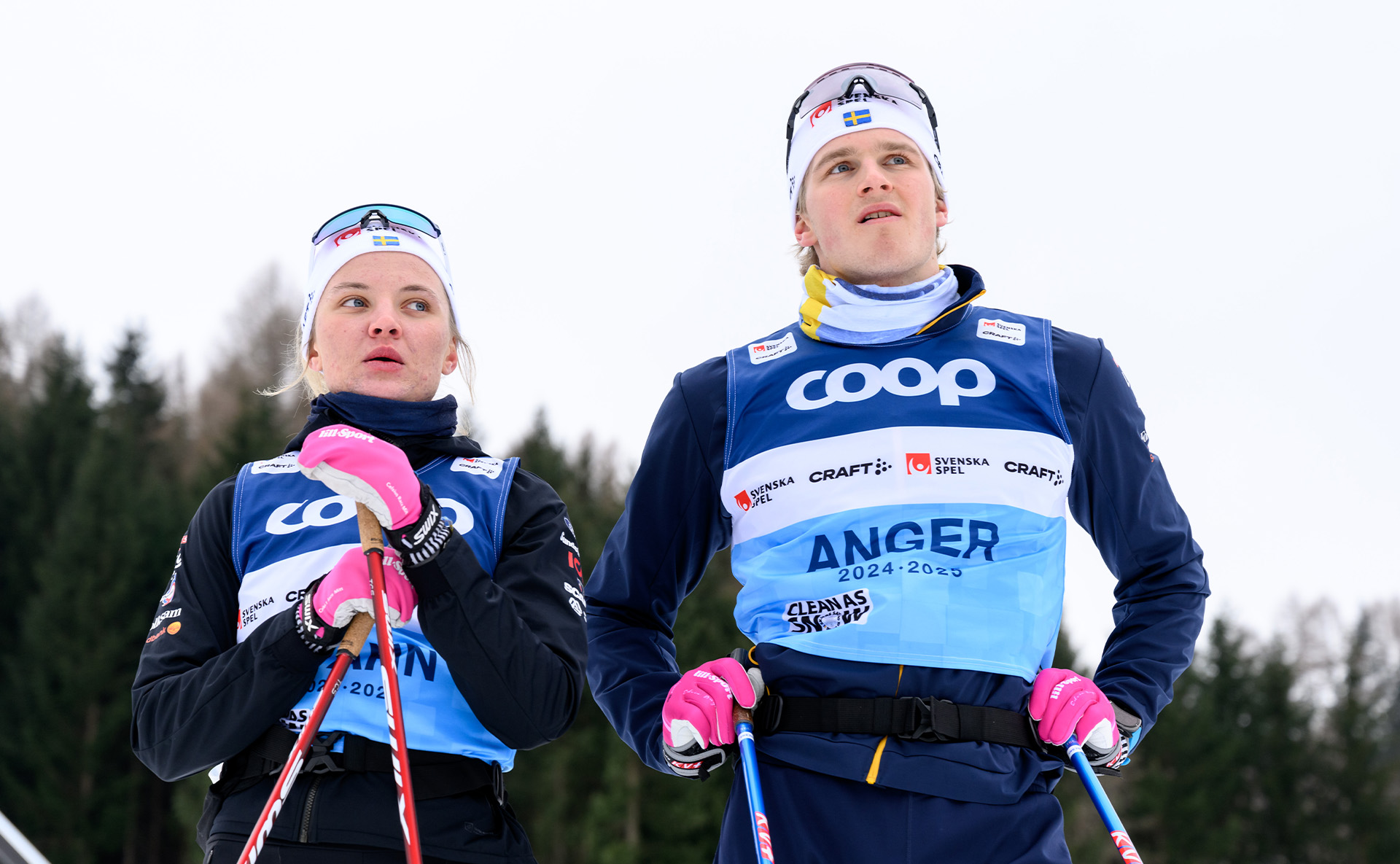 Foto: Förhandsbild från källan: TV4 Nyheter