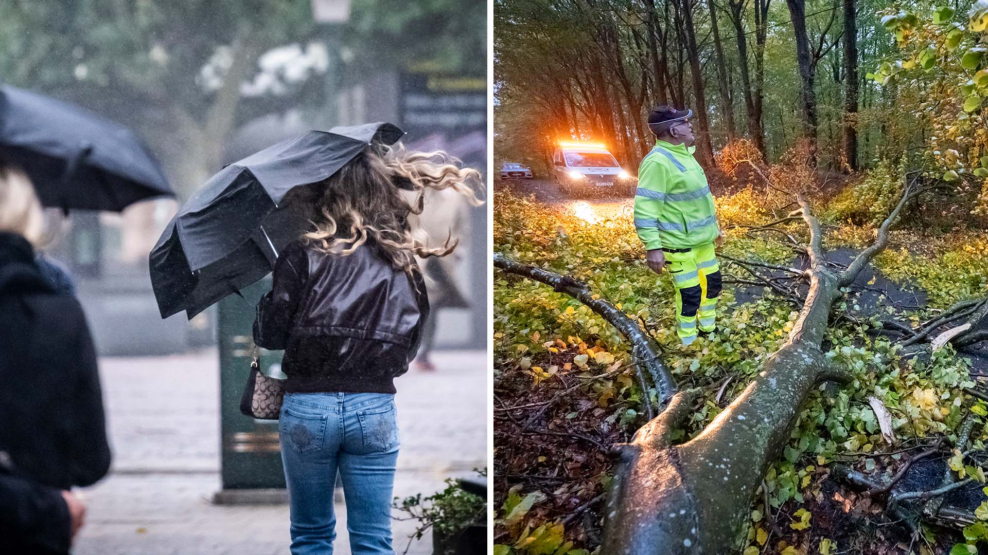 Photo : TV4 Nyheterna Tempête Boelo : vents violents au Royaume-Uni et en Suède