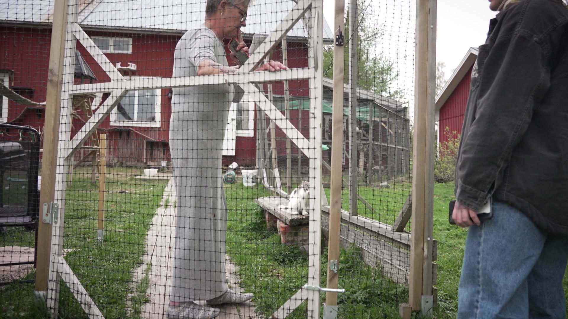 Xxx gey porno videolar