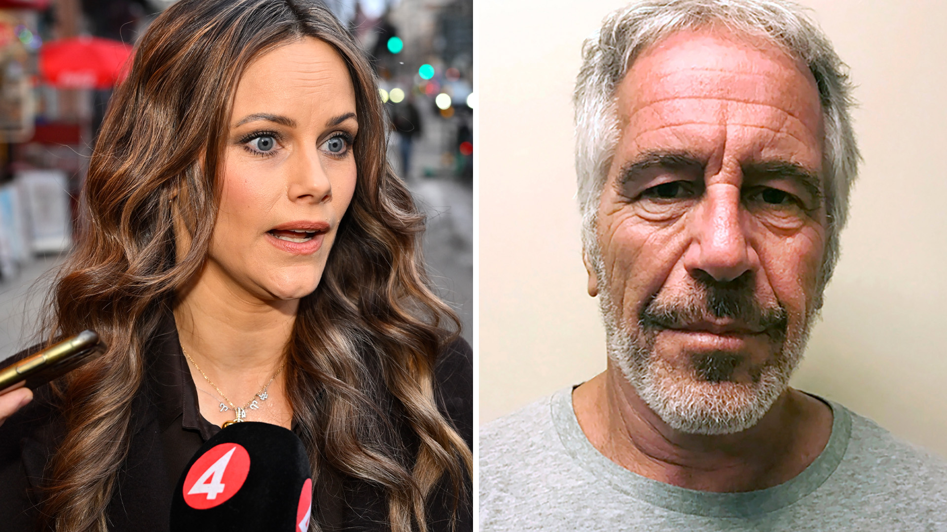 Prinsessan Sofia om Epstein: Träffades ett par gånger