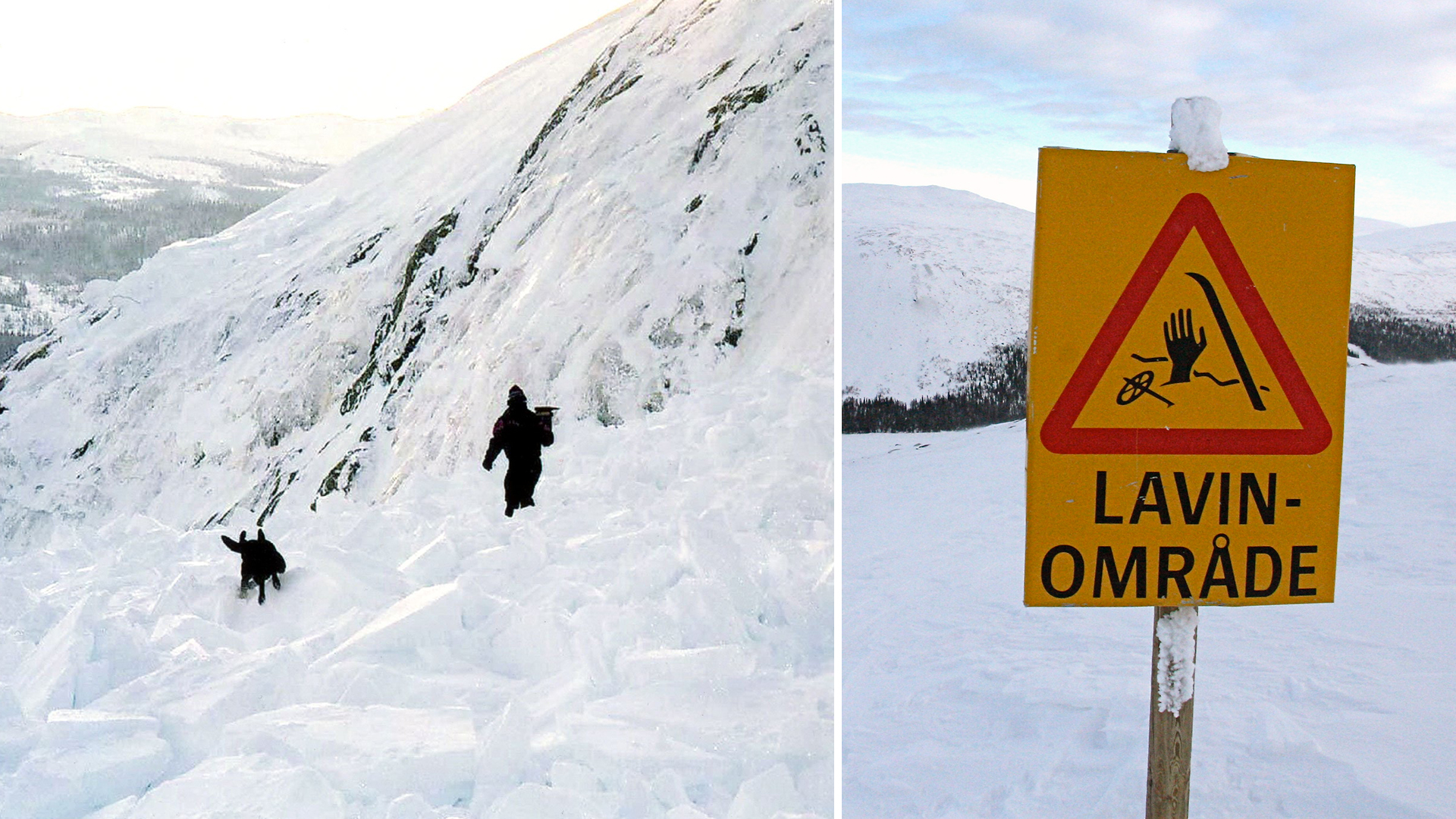 Fler laviner än normalt – experten varnar: ”Är ganska orolig”