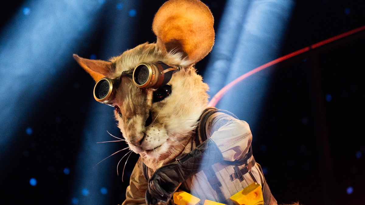 Ökenråttan näst på tur att avslöjas