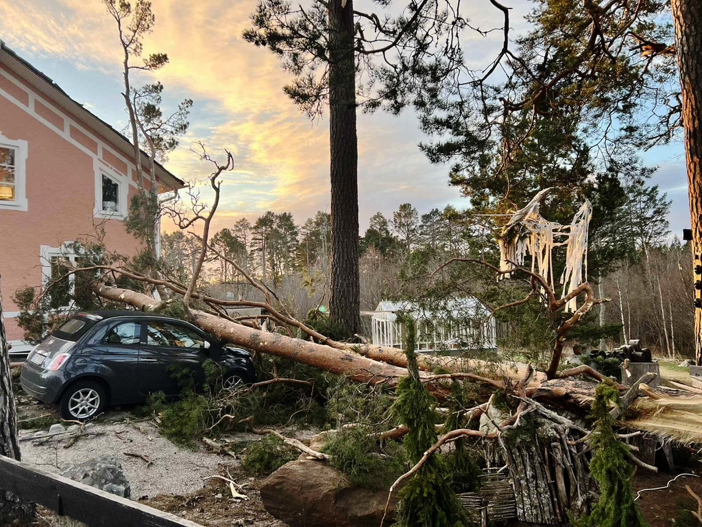 Träd har vält över bilar och bostäder – ”Plockepinn”