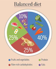 Food Nutrition And Balanced Eating Study Guide Inspirit Learning Inc