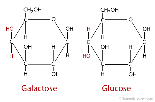 Carbohydrate structure