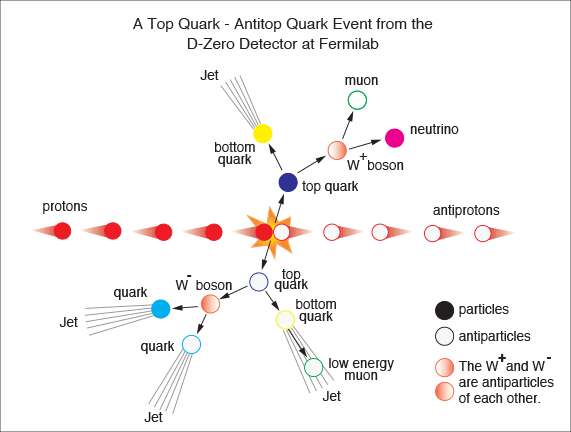 What is a Quark?. Quarks are fundamental particles that…, by Miss Hello  World, Miss Hello World