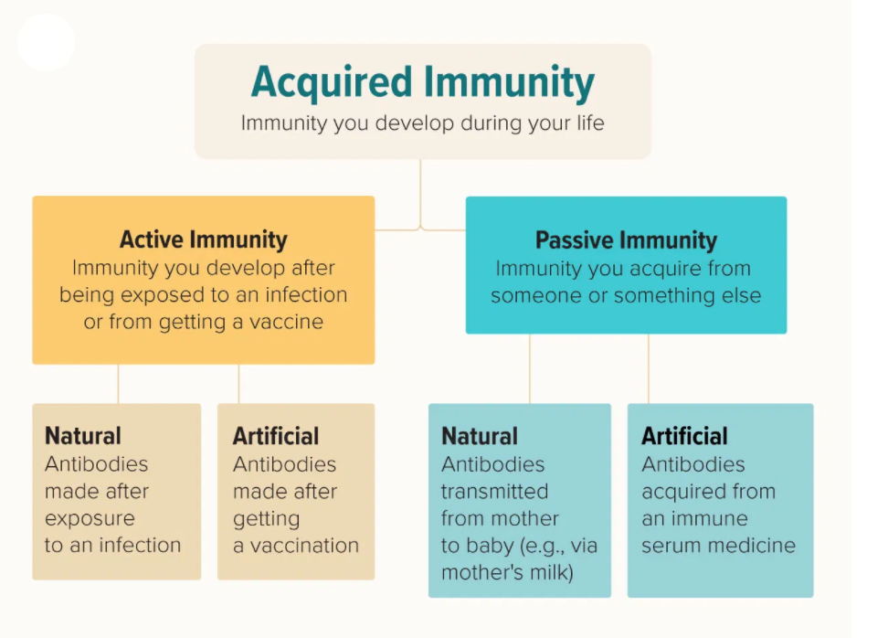 Acquired Immunity