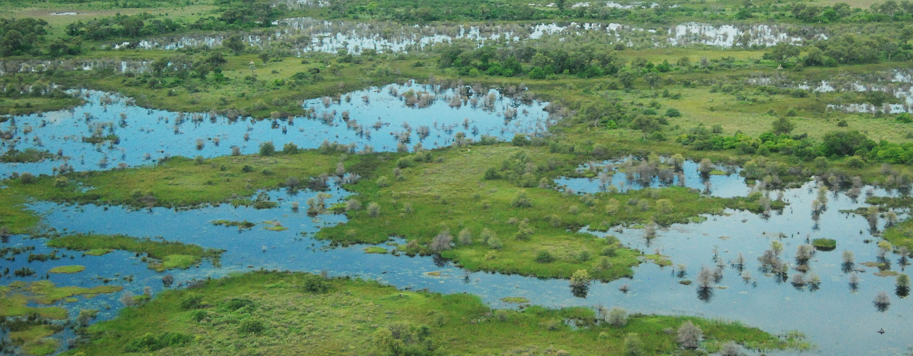 Freshwater Wetlands