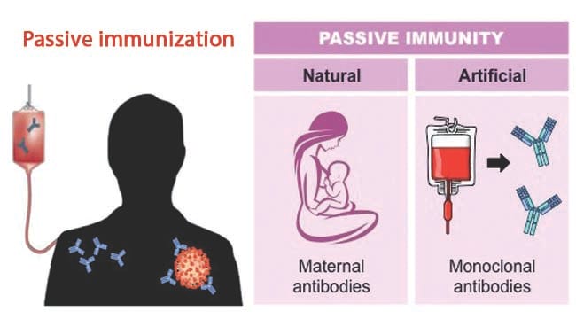 Passive-immunization