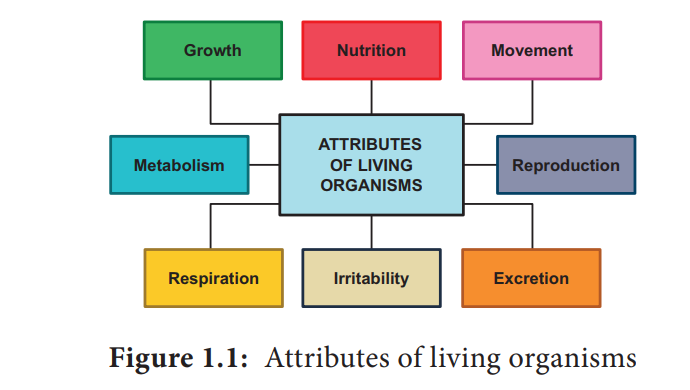 Characteristics of the living world