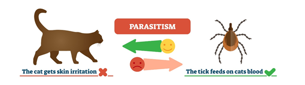 Parasitism