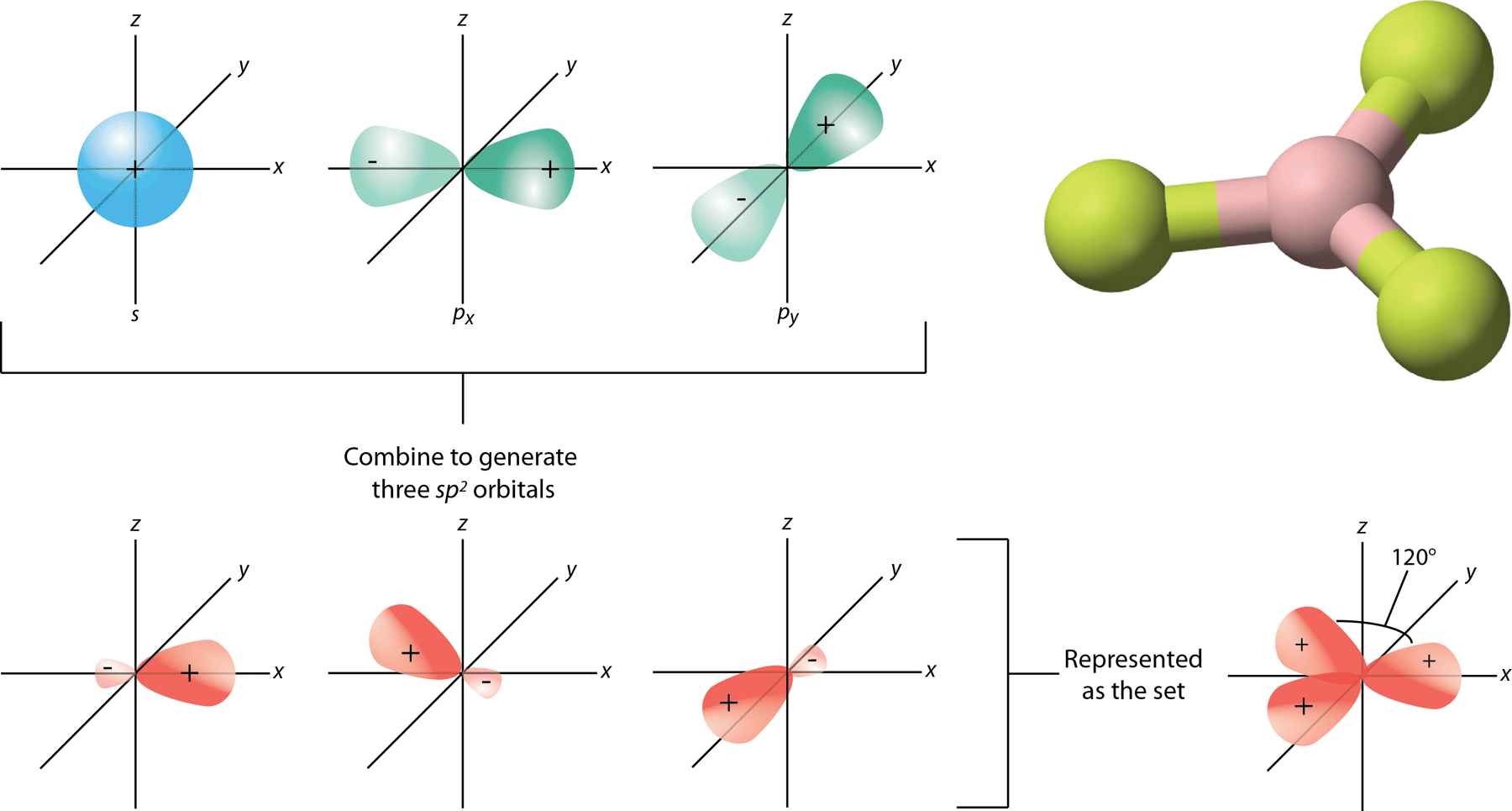 sp2 hybridization