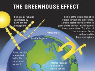 global warming