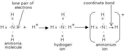 Ammonium-ion-formation