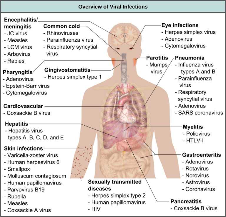 Viral Infections