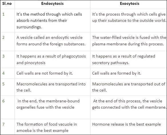 Endocytosis vs exocytosis 